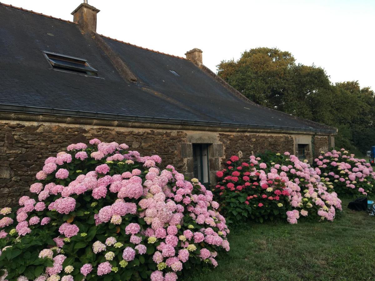 Bed & Breakfast Domaine Du Lesty *